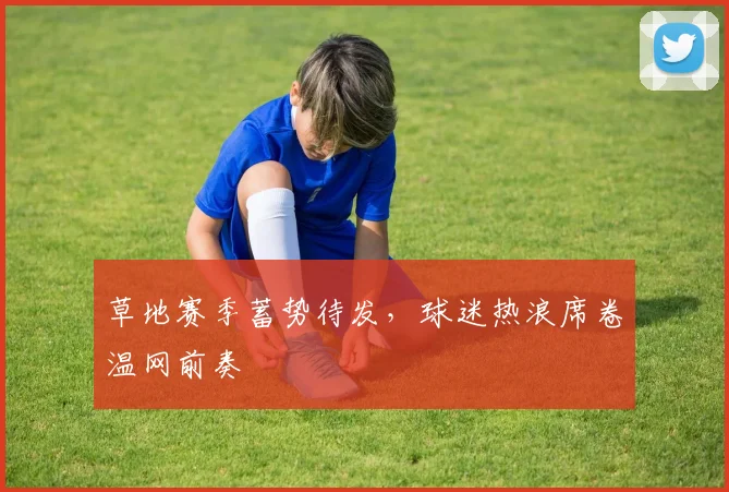 草地赛季蓄势待发,球迷热浪席卷温网前奏
