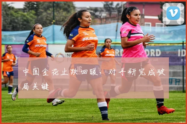 中国金花止跌回暖,对手研究成破局关键