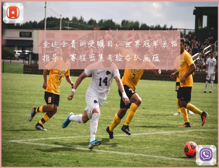 全运会青训受瞩目，世界冠军亲临指导，赛程密集考验各队底蕴