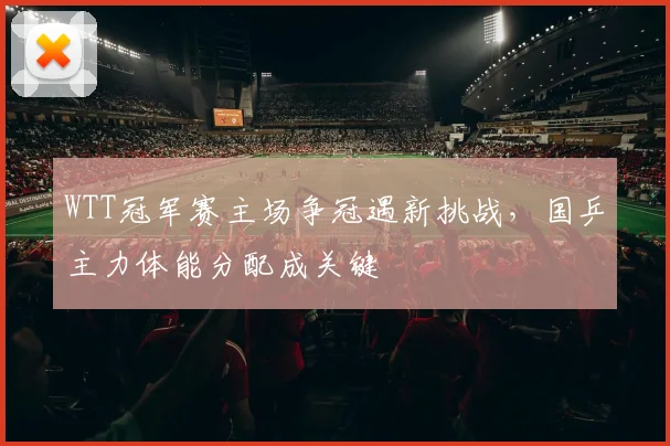 WTT冠军赛主场争冠遇新挑战，国乒主力体能分配成关键