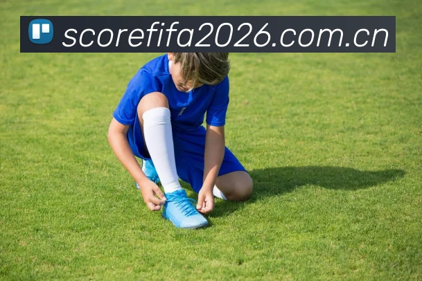 2026世界杯 App 多端展示图